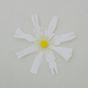 POrondrome重口另类
