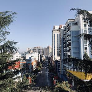 POrondrome重口另类
