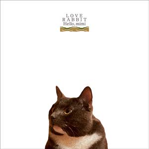 POrondrome重口另类
